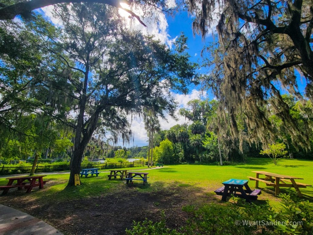 silver springs picnic tables