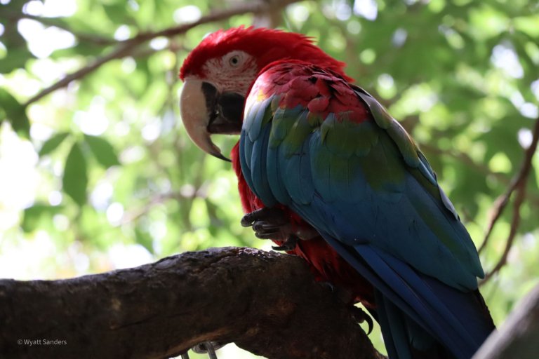 Jacksonville Zoo