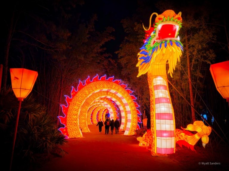 Jacksonville Zoo Lights